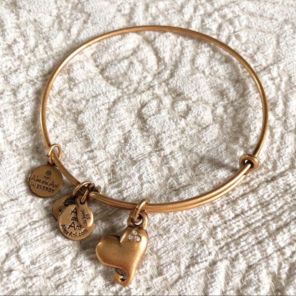 Alex and Ani Charm Bracelet
